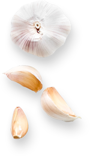 ajo